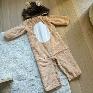 Baby Lion costume! Pottery Barn Kids